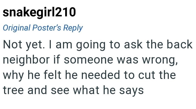 snakegirl210 Original Poster's Reply Not yet. I am going to ask the back neighbor if someone was wrong, why he felt he needed to cut the tree and see what he says