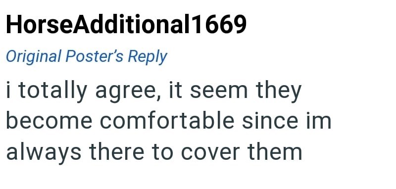 HorseAdditional 1669 Original Poster's Reply i totally agree, it seem they become comfortable since im always there to cover them