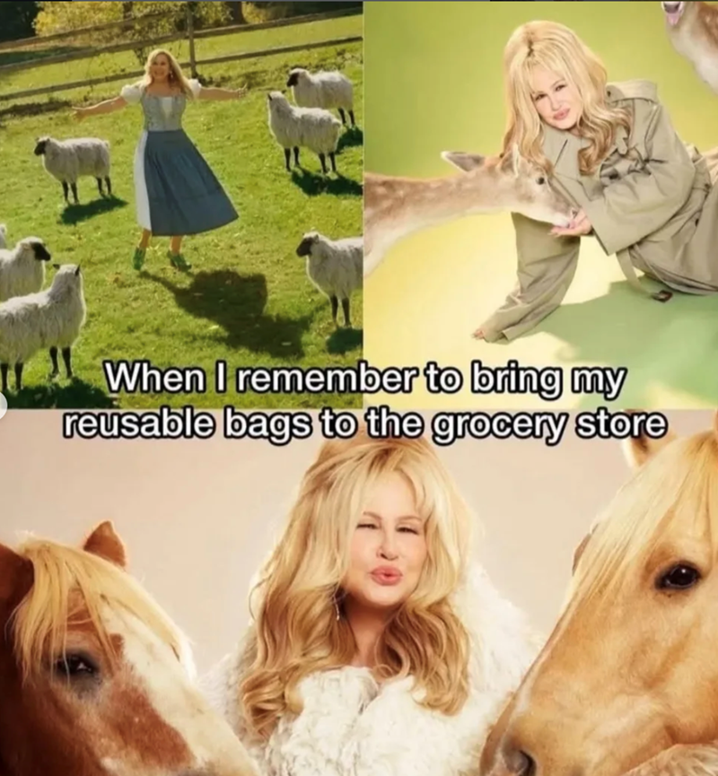 When I remember to bring my reusable bags to the grocery store