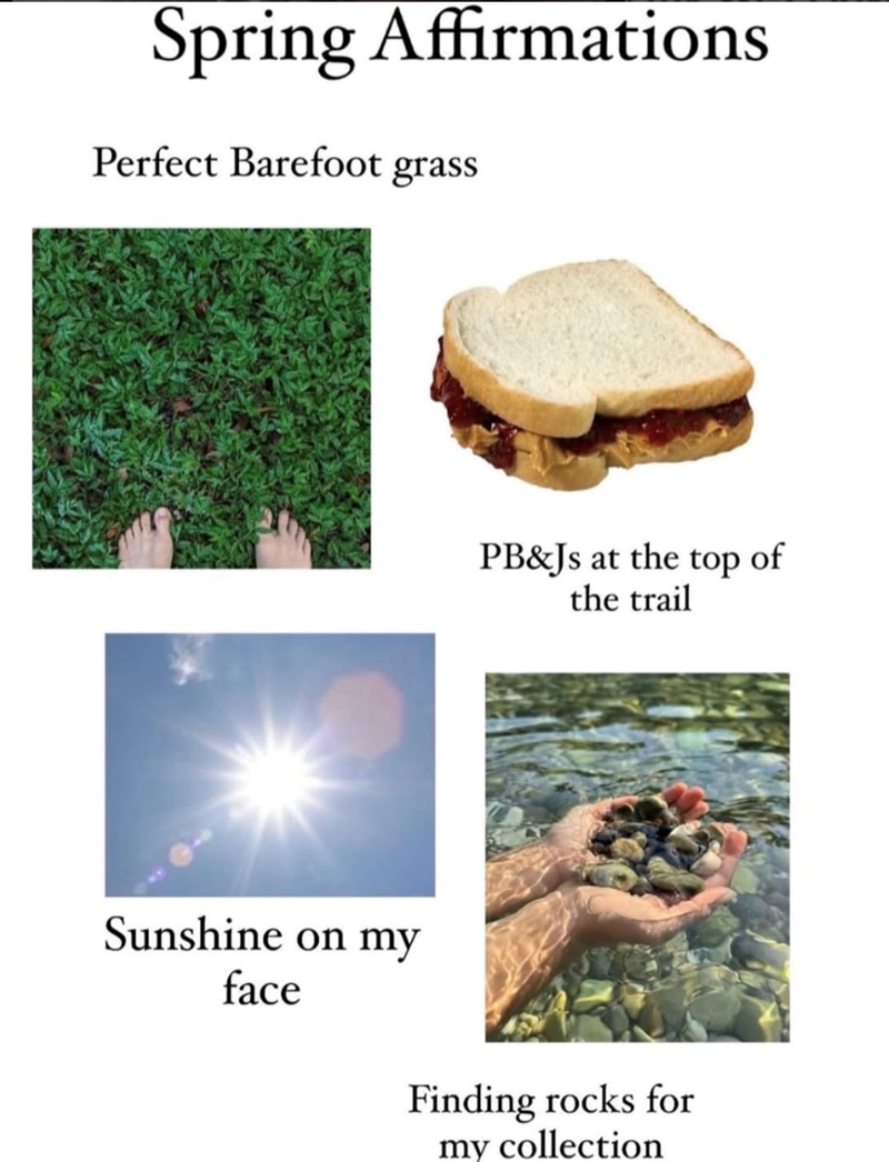 Spring Affirmations Perfect Barefoot grass Sunshine on my face PB&Js at the top of the trail Finding rocks for my collection