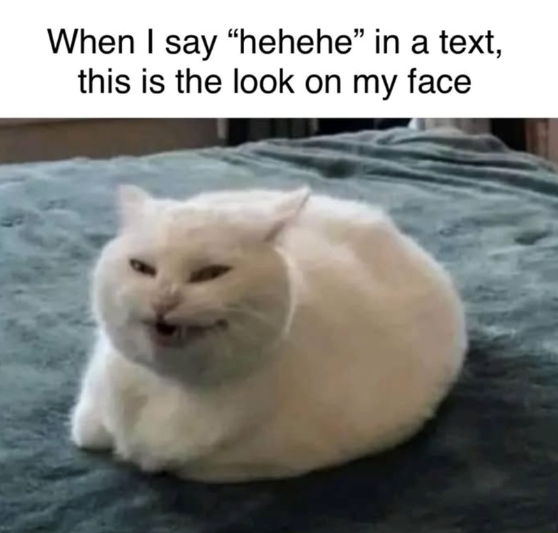 When I say "hehehe" in a text, this is the look on my face