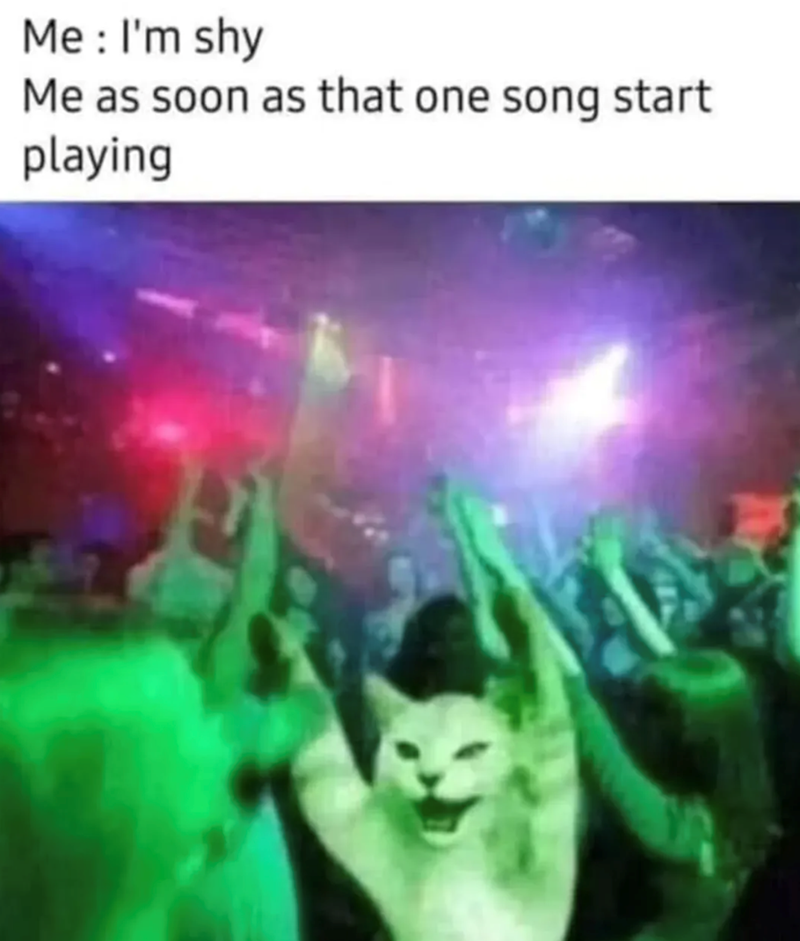 Me: I'm shy Me as soon as that one song start playing
