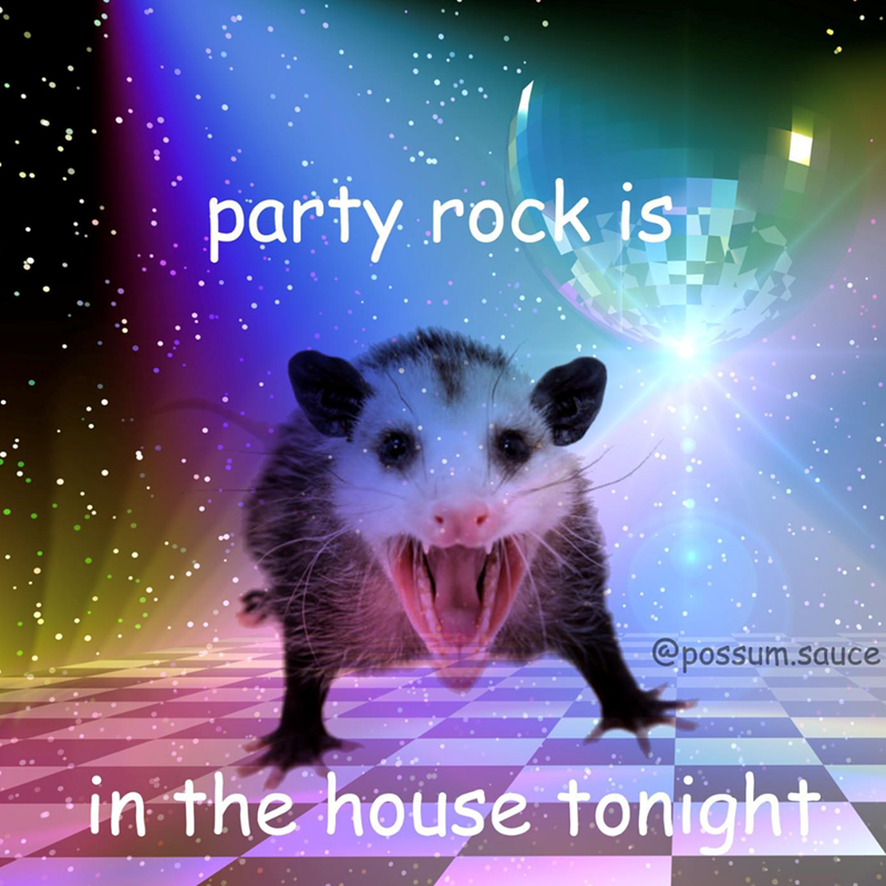 party rock is @possum.sauce in the house tonight