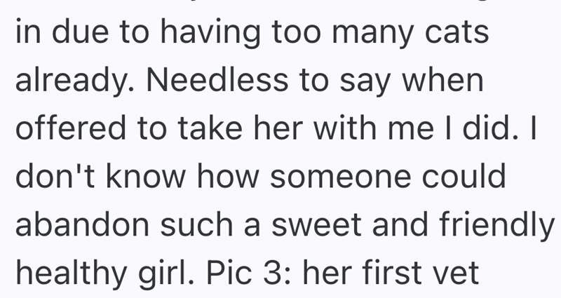 in due to having too many cats already. Needless to say when offered to take her with me I did. I don't know how someone could abandon such a sweet and friendly healthy girl. Pic 3: her first vet