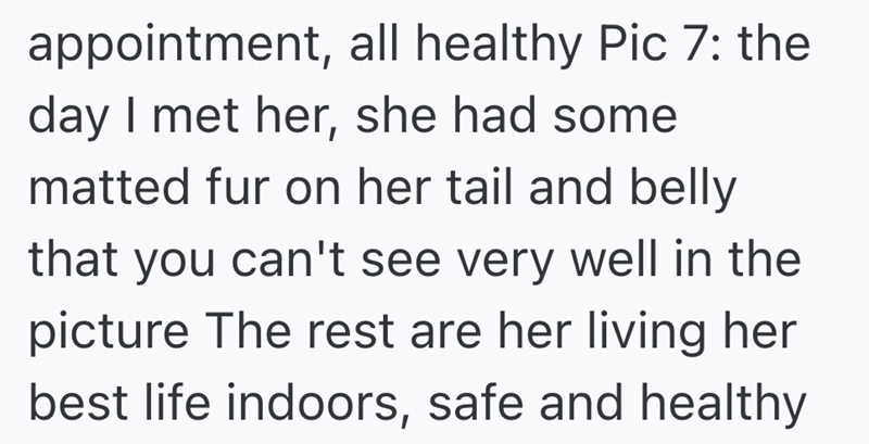 appointment, all healthy Pic 7: the day I met her, she had some matted fur on her tail and belly that you can't see very well in the picture The rest are her living her best life indoors, safe and healthy