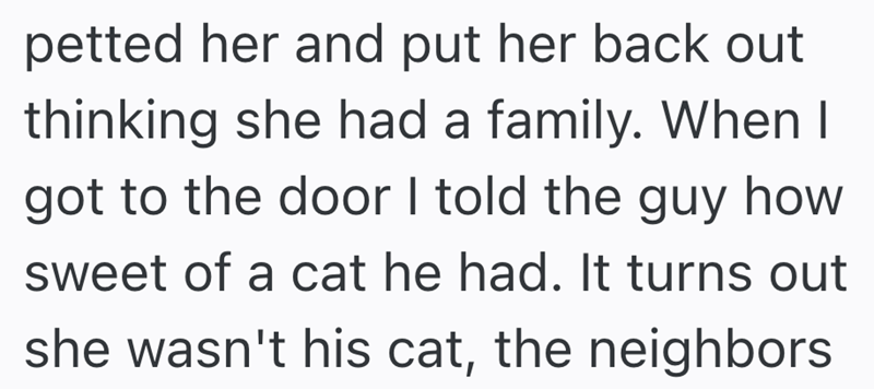 petted her and put her back out thinking she had a family. When I got to the door I told the guy how sweet of a cat he had. It turns out she wasn't his cat, the neighbors