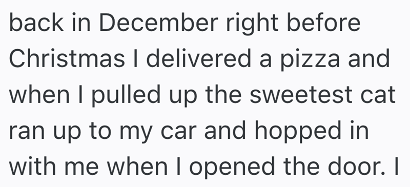 back in December right before Christmas I delivered a pizza and when I pulled up the sweetest cat ran up to my car and hopped in with me when I opened the door. I