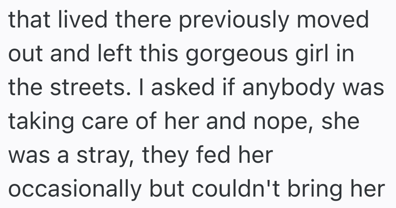 that lived there previously moved out and left this gorgeous girl in the streets. I asked if anybody was taking care of her and nope, she was a stray, they fed her occasionally but couldn't bring her