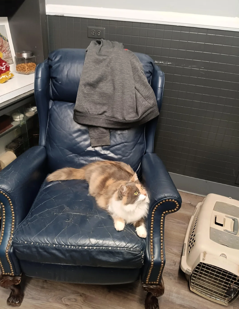 Cheezburger Image 10618004736