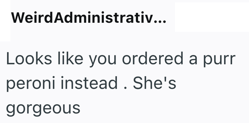 Weird Administrativ... Looks like you ordered a purr peroni instead. She's gorgeous