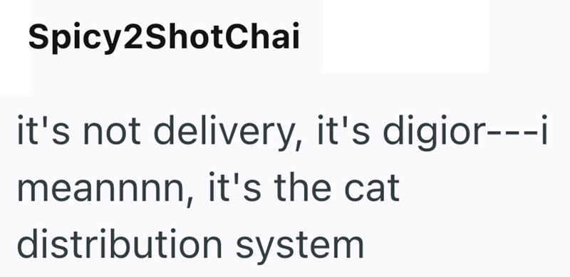 Spicy2ShotChai it's not delivery, it's digior---i meannnn, it's the cat distribution system