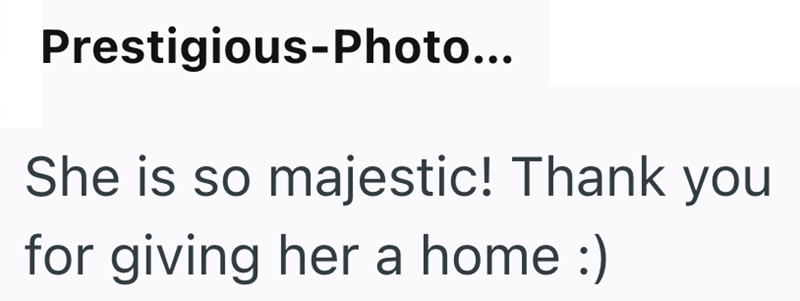 Prestigious-Photo... She is so majestic! Thank you for giving her a home :)