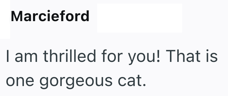 Marcieford I am thrilled for you! That is one gorgeous cat.