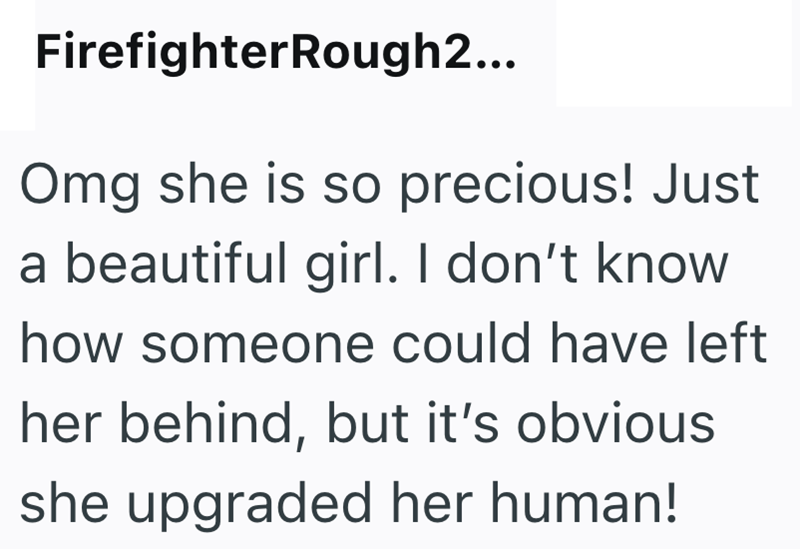 FirefighterRough2... Omg she is so precious! Just a beautiful girl. I don't know how someone could have left her behind, but it's obvious she upgraded her human!