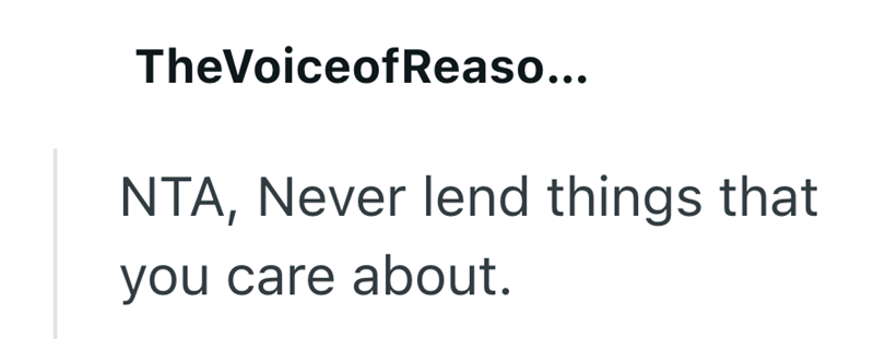 TheVoiceof Reaso... NTA, Never lend things that you care about.