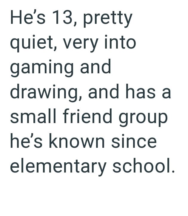 He's 13, pretty quiet, very into gaming and drawing, and has a small friend group he's known since elementary school.