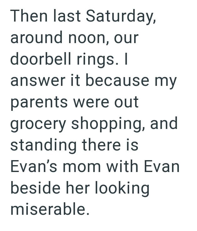 Then last Saturday, around noon, our doorbell rings. I answer it because my parents were out grocery shopping, and standing there is Evan's mom with Evan beside her looking miserable.
