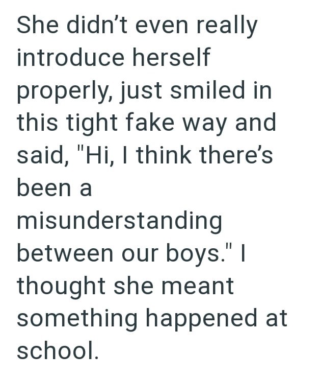 She didn't even really introduce herself properly, just smiled in this tight fake way and said, "Hi, I think there's been a misunderstanding between our boys." I thought she meant something happened at school.