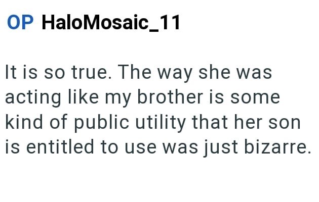 OP HaloMosaic_11 It is so true. The way she was acting like my brother is some kind of public utility that her son is entitled to use was just bizarre.