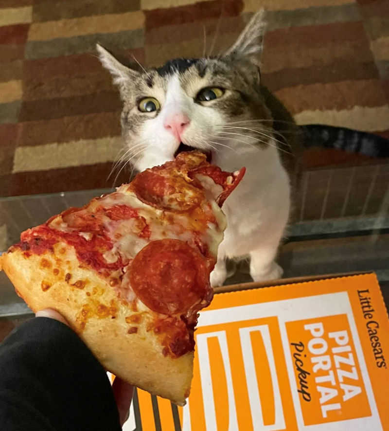 Little Caesars PIZZA PORTAL Pickup