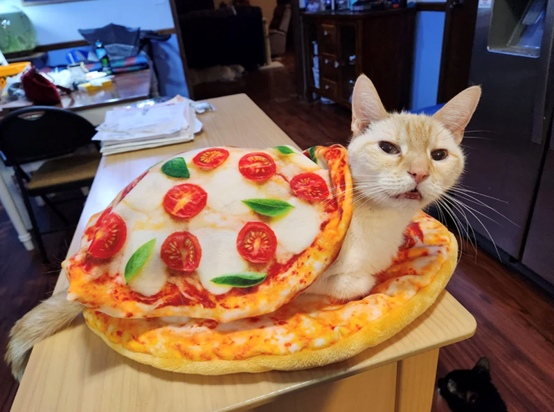 Cheezburger Image 10618060544