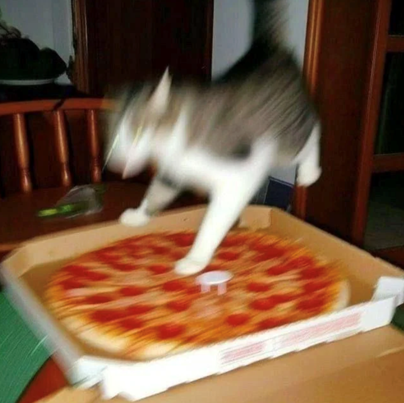 Cheezburger Image 10618061312