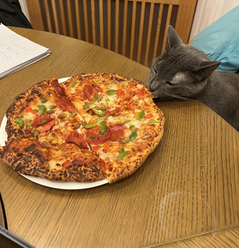 Cheezburger Image 10618061824