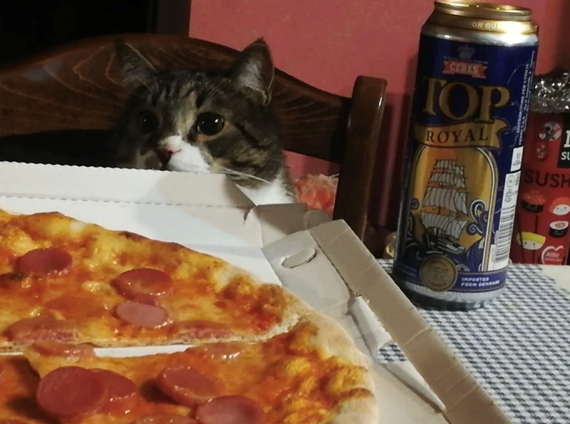 FOR QU CERES TOP ROYAL 1 St SUSH IMPORTED FROM DENHAM amo