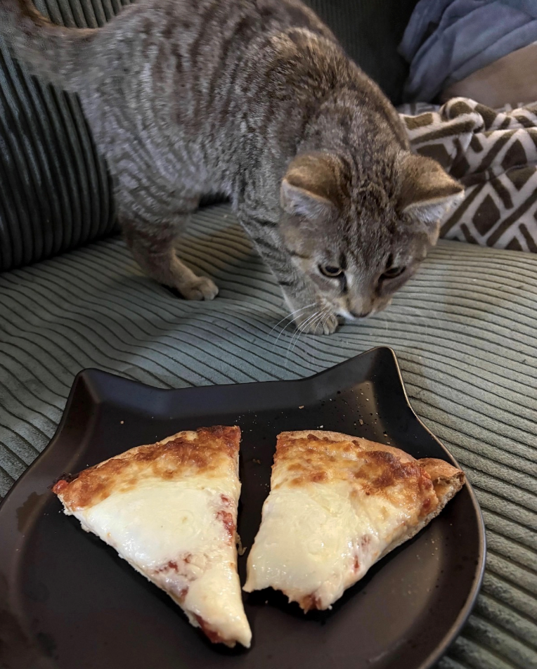 Cheezburger Image 10618062336