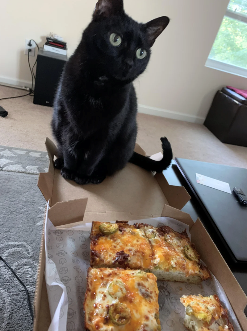 Cheezburger Image 10618062848