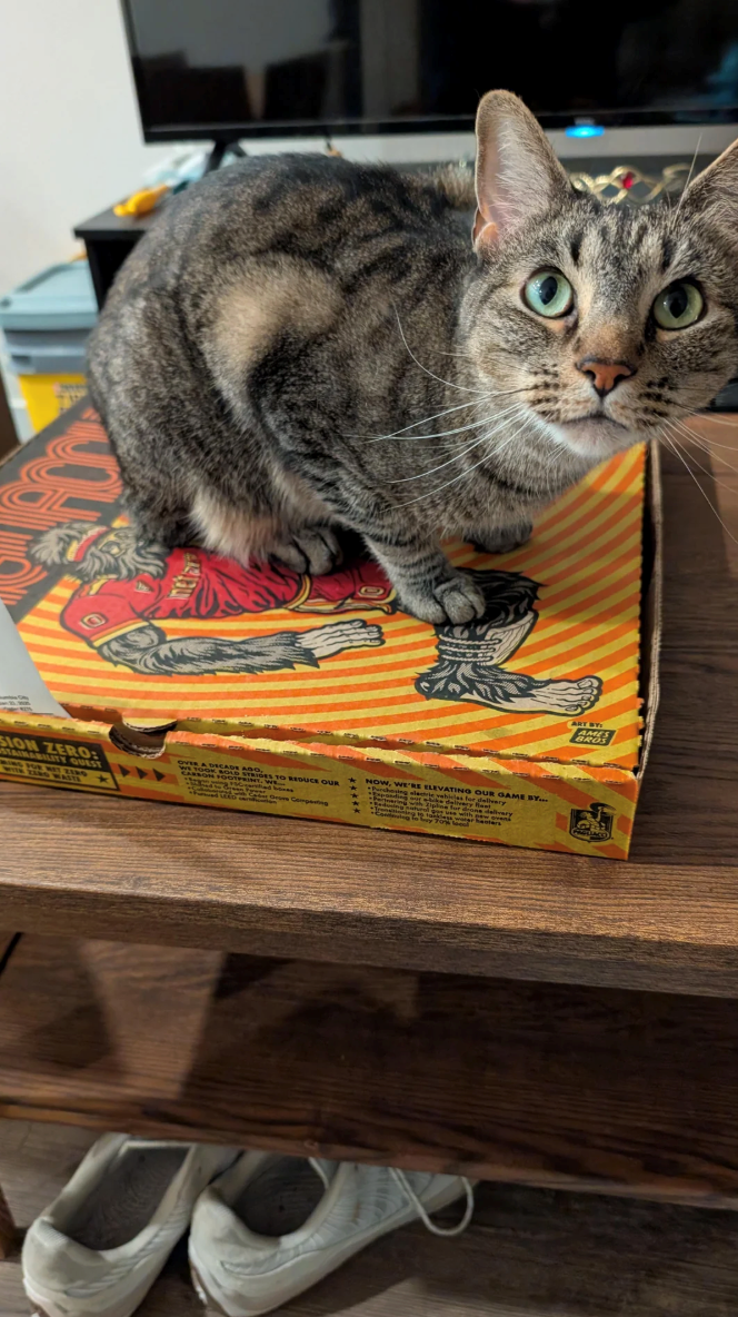 SION ZERO: STAINABILITY QUEST MING FOR WET ZING WITH ZING WAITE OVER A DECADE ASO, WE TOOK BOLD STRIDES TO REDUCE OUR CARSON FOOTPRINT, WE NOW, WE'RE ELEVATING OUR GAME BY... Purchasi electric vehicles for s delivery or drone delivery hanters y 70% ART BY AMES