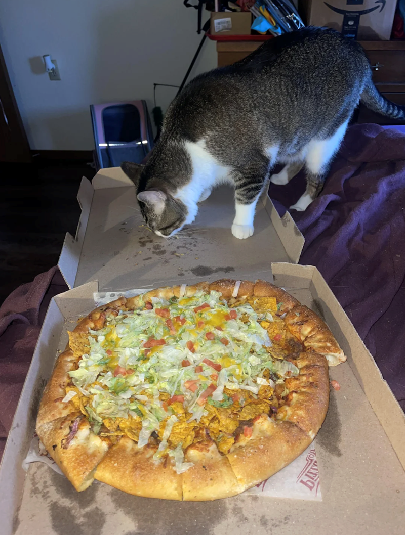 Cheezburger Image 10618063360