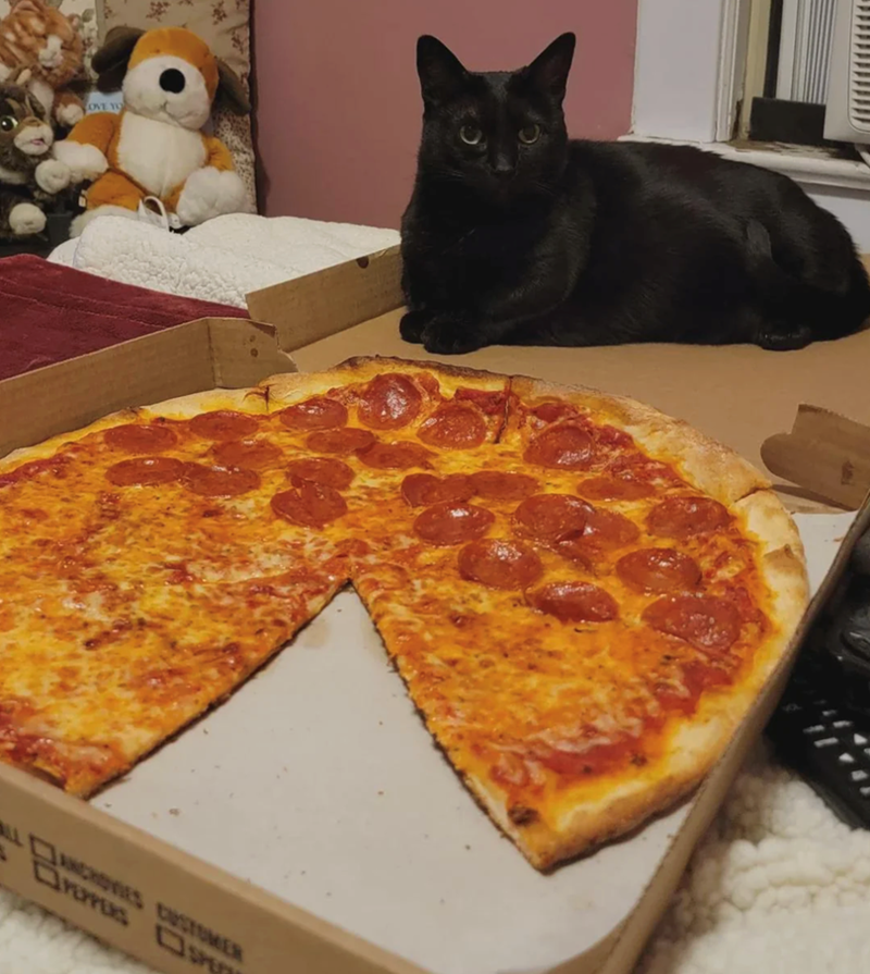 OVE YO ALL ANCHORES CUSTOMER Draus D