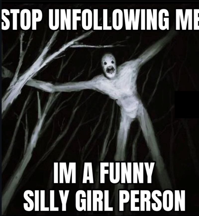 STOP UNFOLLOWING ME IM A FUNNY SILLY GIRL PERSON
