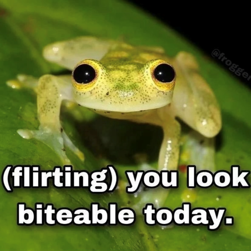 @frogger (flirting) you look biteable today.