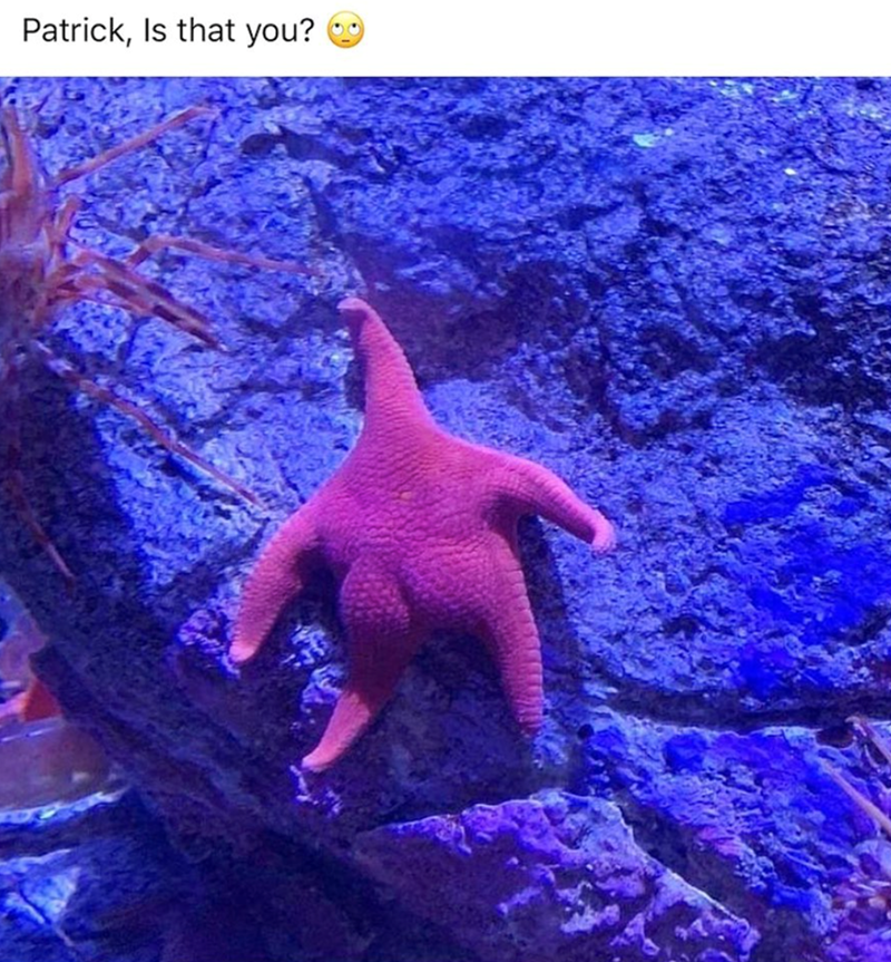 Patrick, Is that you?