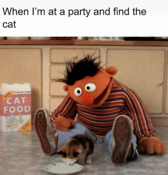NE When I'm at a party and find the cat CAT FOOD boredpanda.com