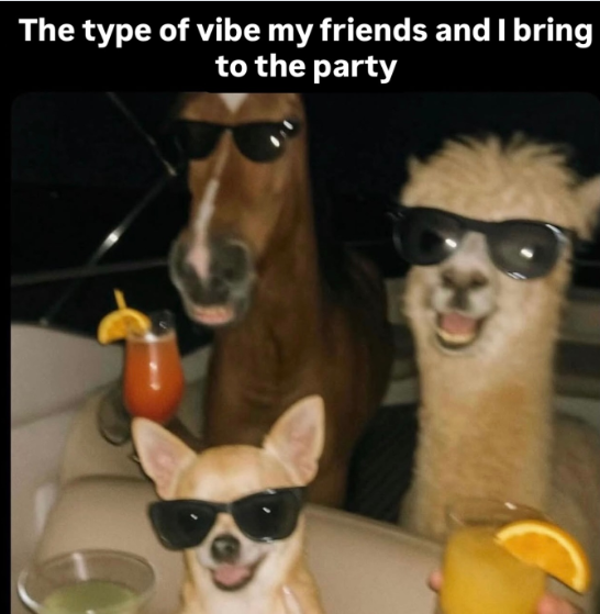 The type of vibe my friends and I bring to the party