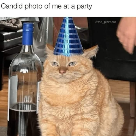 Candid photo of me at a party A @the_pizzacat