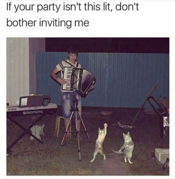 If your party isn't this lit, don't bother inviting me @dabmoms