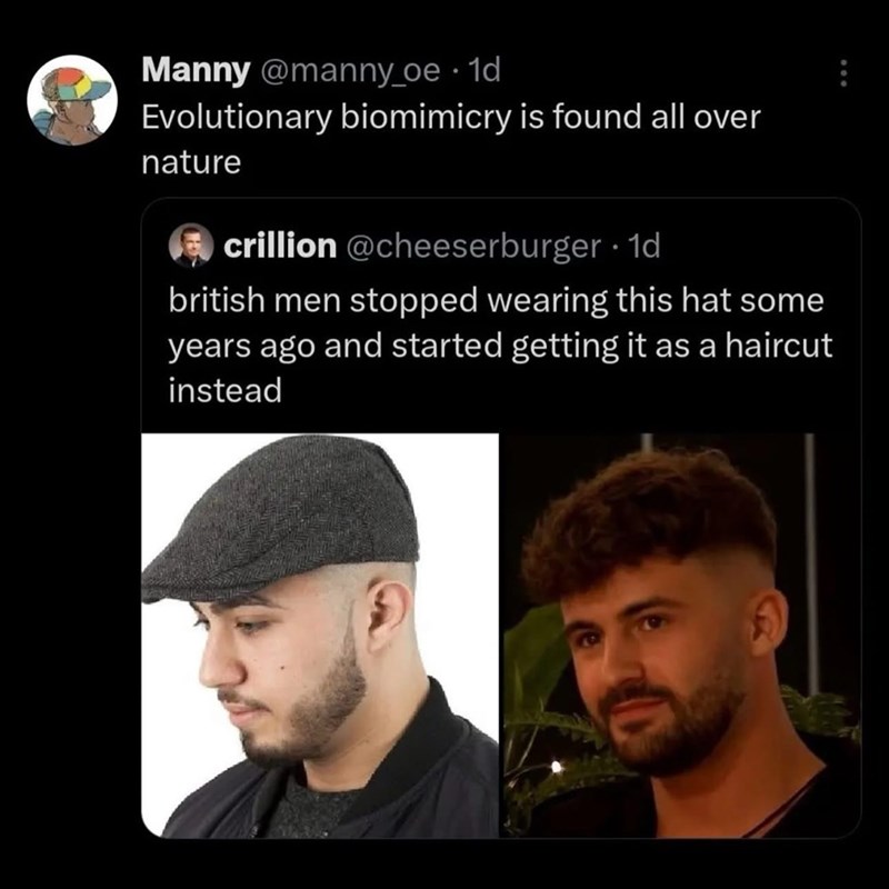 Manny @manny_oe • 1d Evolutionary biomimicry is found all over nature crillion @cheeserburger . 1d british men stopped wearing this hat some years ago and started getting it as a haircut instead