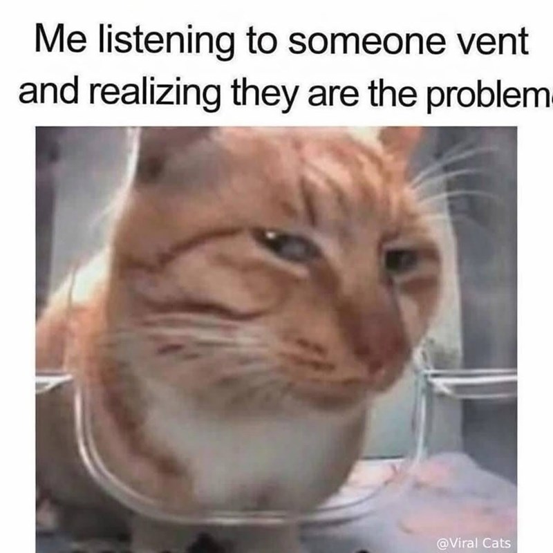 Me listening to someone vent and realizing they are the problem @Viral Cats