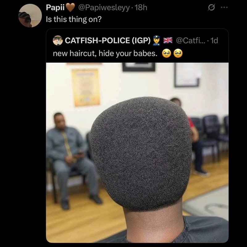 Papii @Papiwesleyy. 18h Is this thing on? O CATFISH-POLICE (IGP) new haircut, hide your babes. @Catfi....1d 60