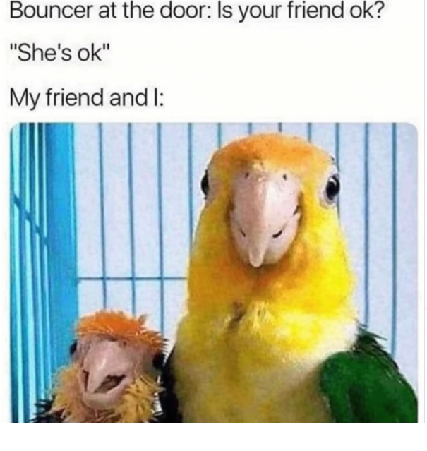 Bouncer at the door: Is your friend ok? "She's ok" My friend and I: