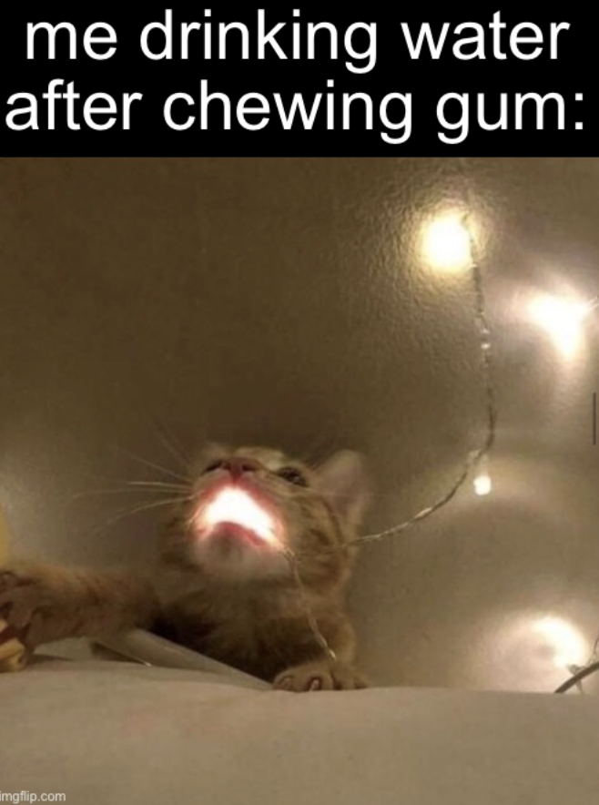 me drinking water after chewing gum: imgflip.com