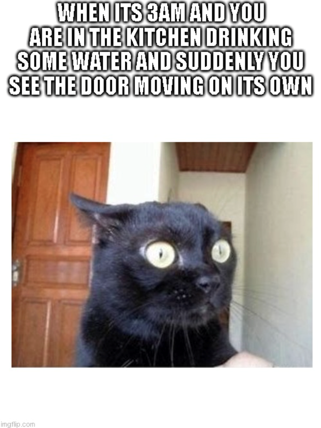 WHEN ITS 3AM AND YOU ARE IN THE KITCHEN DRINKING SOME WATER AND SUDDENLY YOU SEE THE DOOR MOVING ON ITS OWN imgflip.com