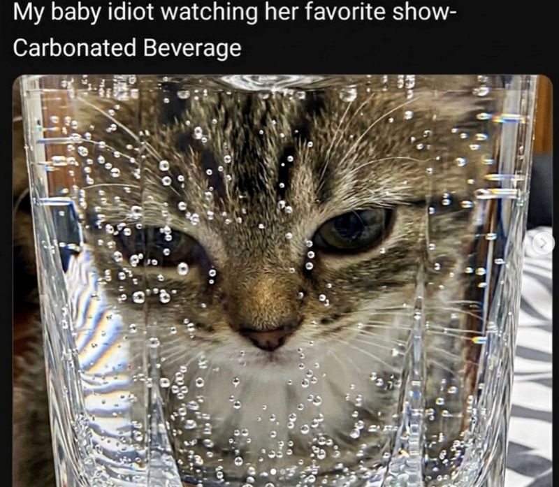 0800 My baby idiot watching her favorite show- Carbonated Beverage