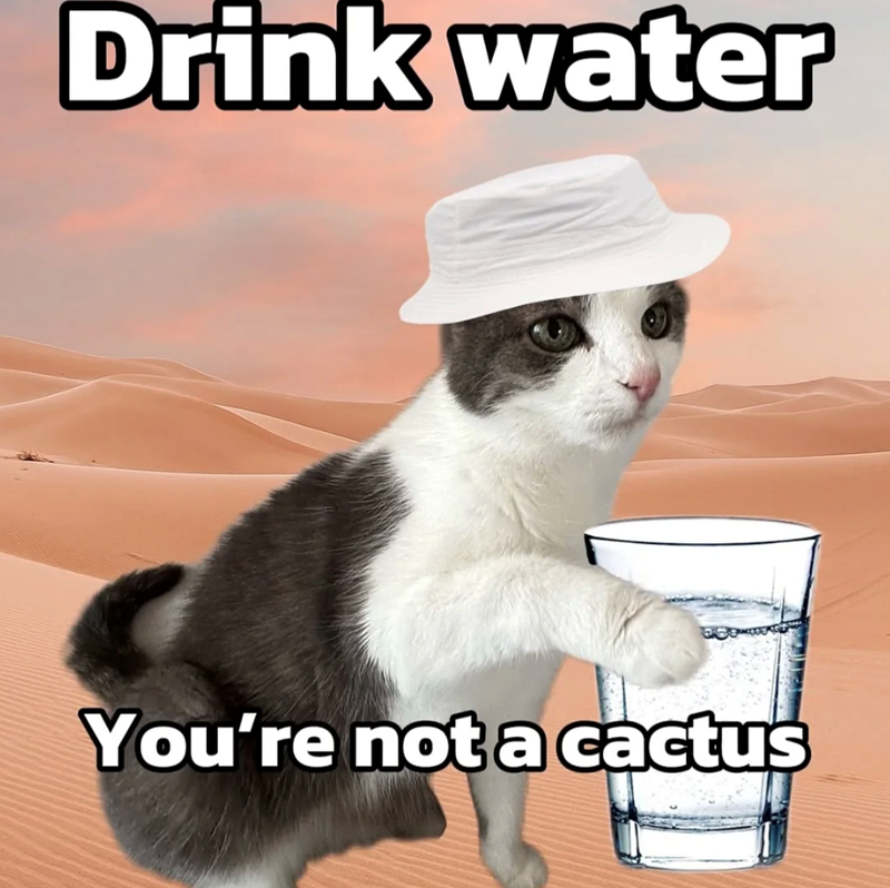 Drink water You're not a cactus