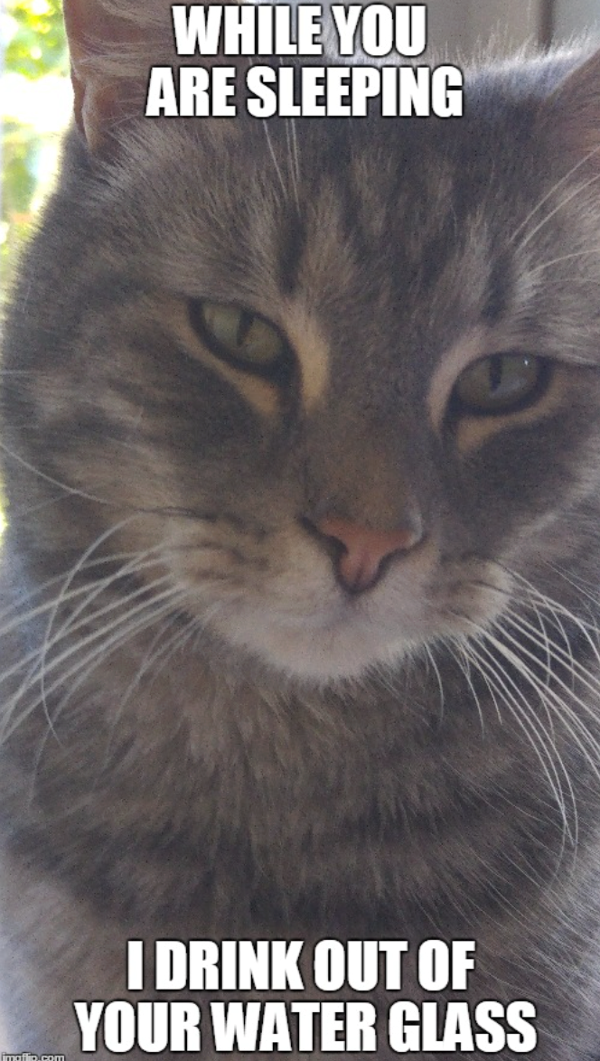 WHILE YOU ARE SLEEPING imaflio.com I DRINK OUT OF YOUR WATER GLASS