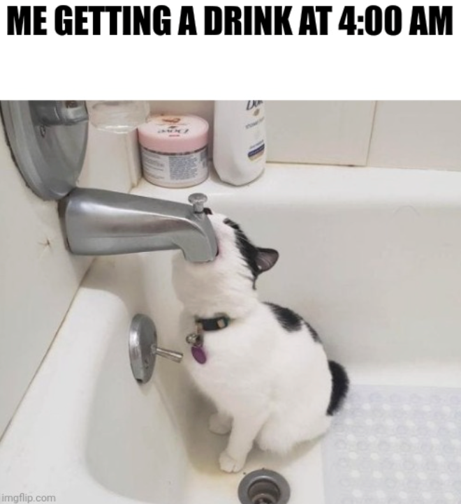 ME GETTING A DRINK AT 4:00 AM imgflip.com D